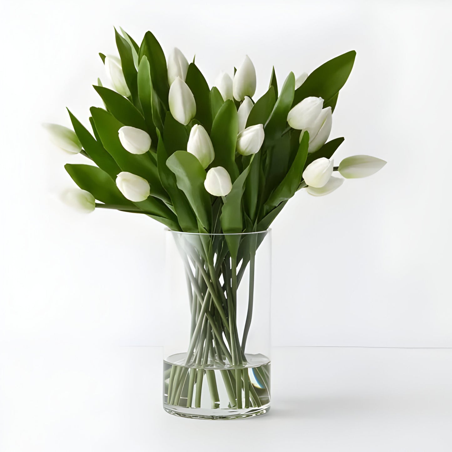 Tulip