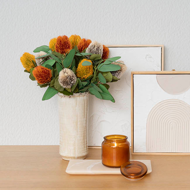 Orange Baxteri Banksia