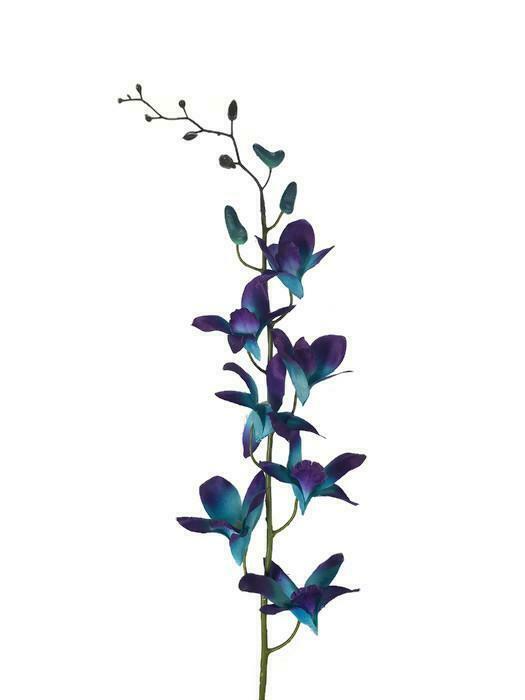 Galaxy Singapore Orchid