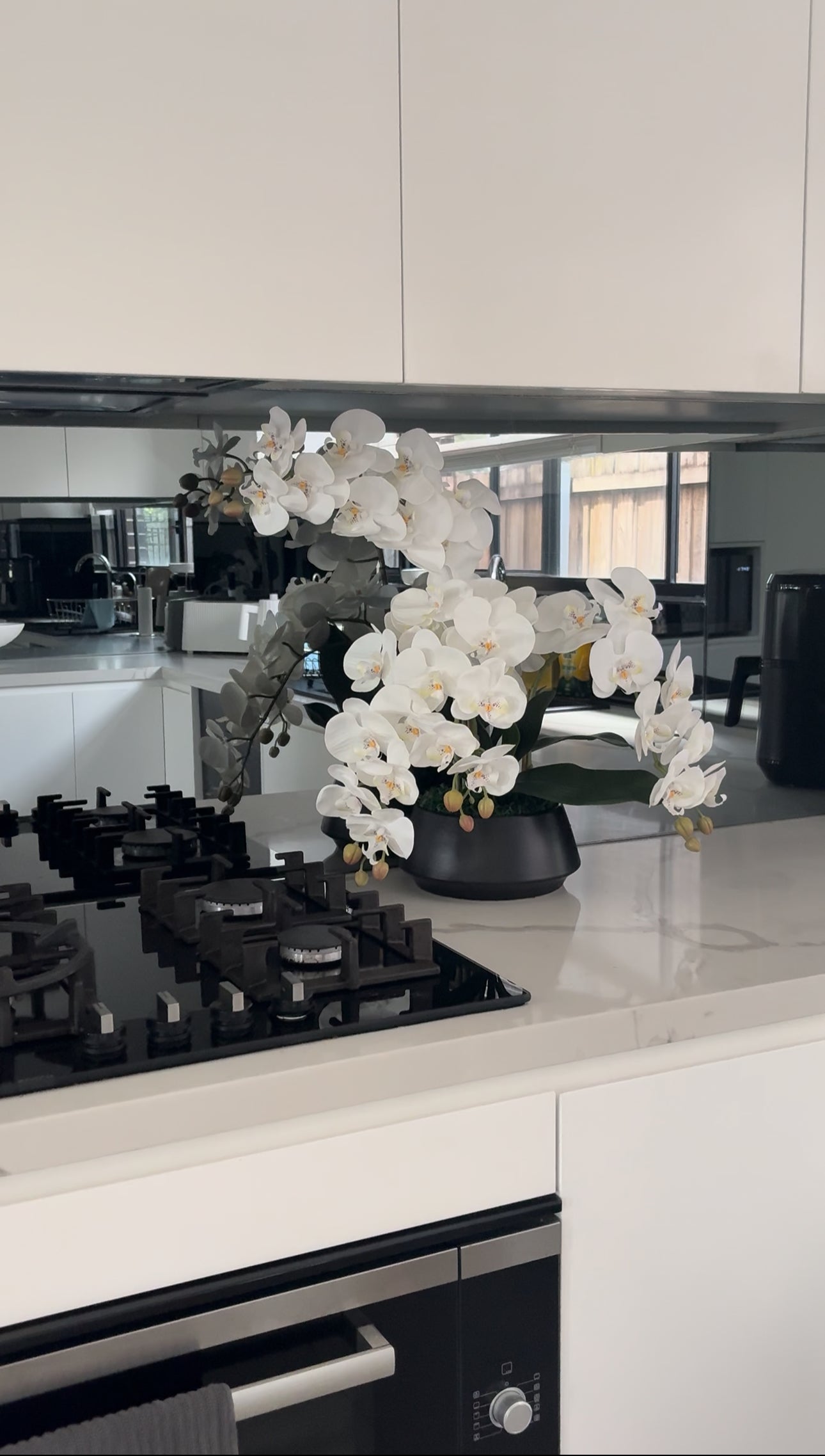 White Orchid Arrangement in Black Vase