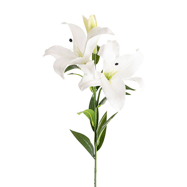 White Lily