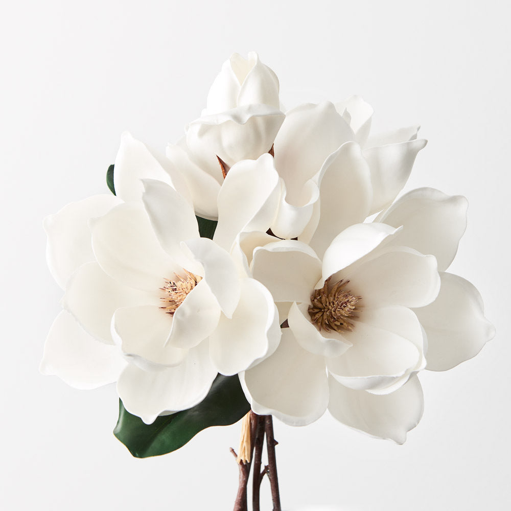 Magnolia Bunch