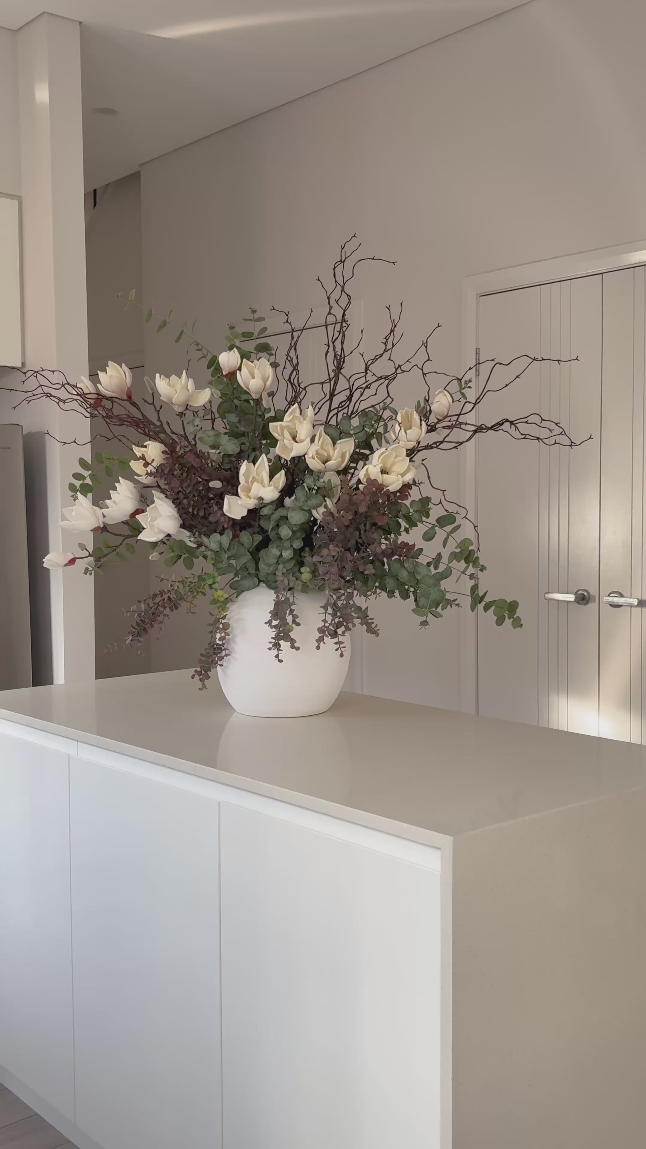 Alegre Magnolia ( Black and White Pot Options)