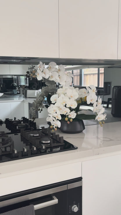 White Orchid Arrangement in Black Vase