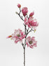 pink magnolia stem