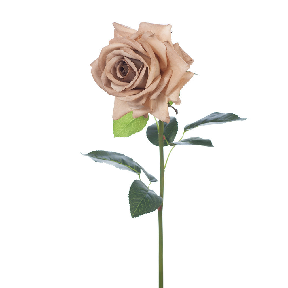 Real Touch Coffee Rose