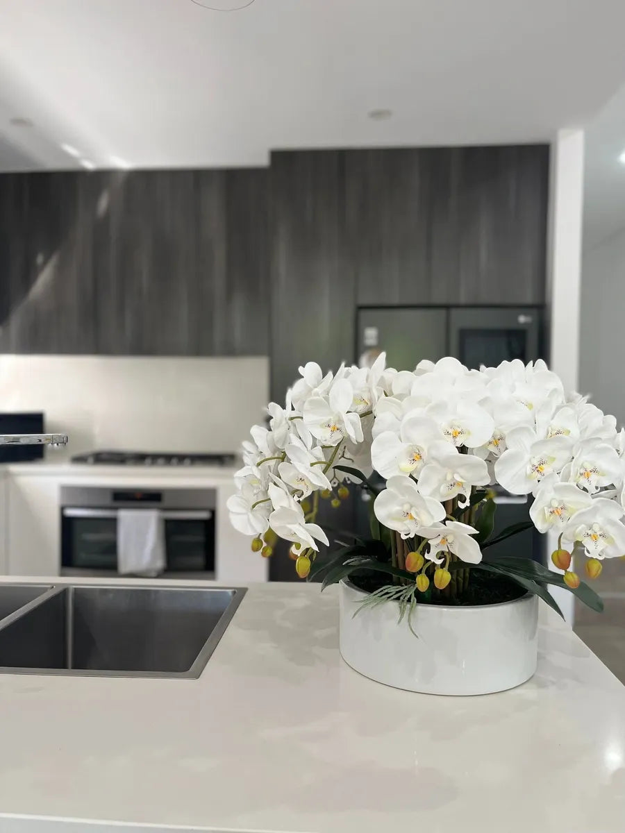 Large White Orchid Arrangement Centrepiece with Ceramic Vase. Hampton Home Decor