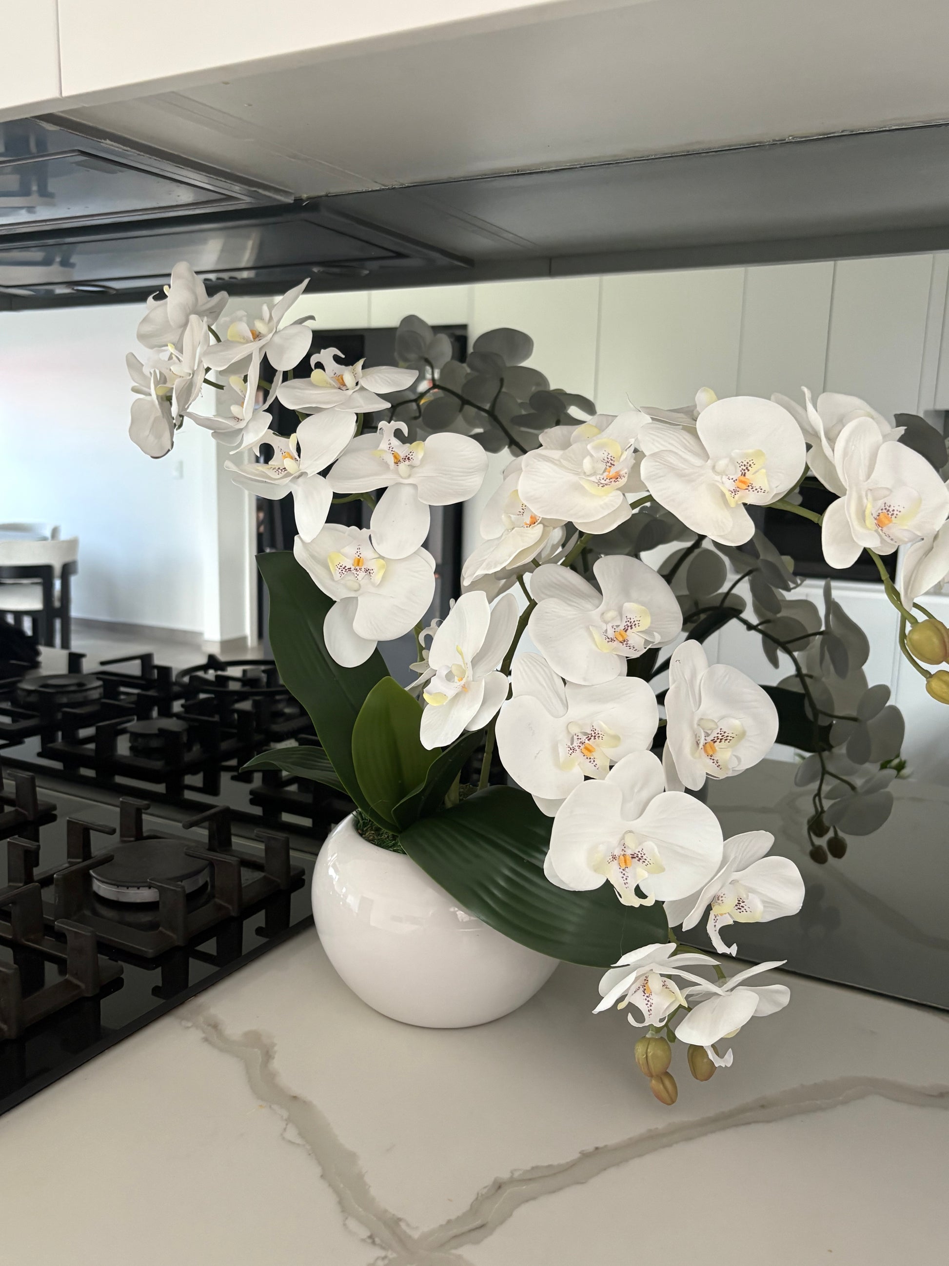 White orchid arrangement styled in a modern kitchen
